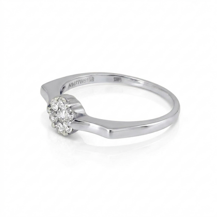 The Flora Cluster Ring