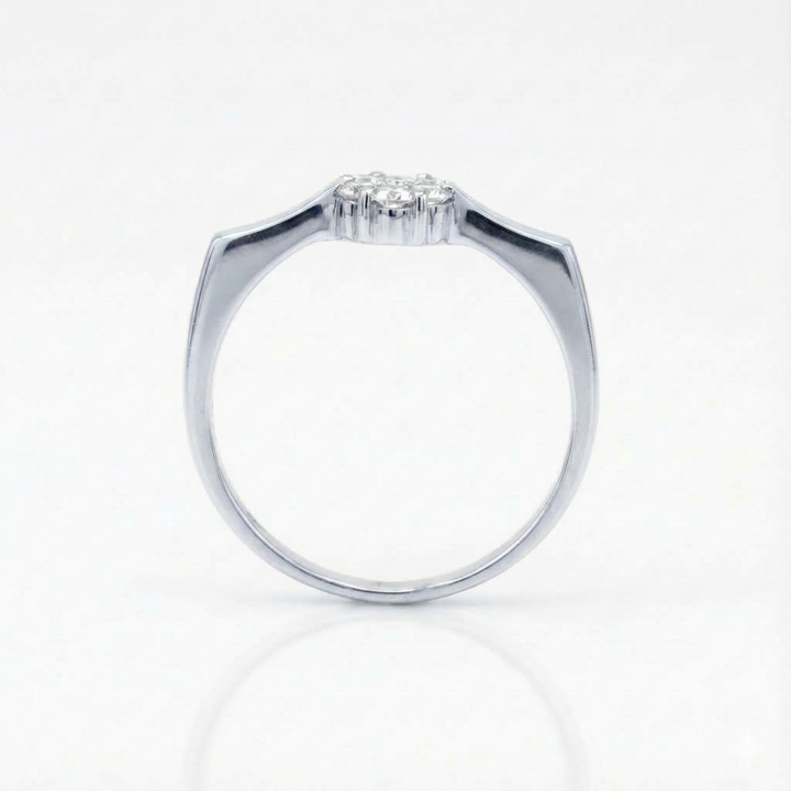 The Flora Cluster Ring