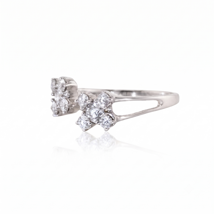 The Amas Ring